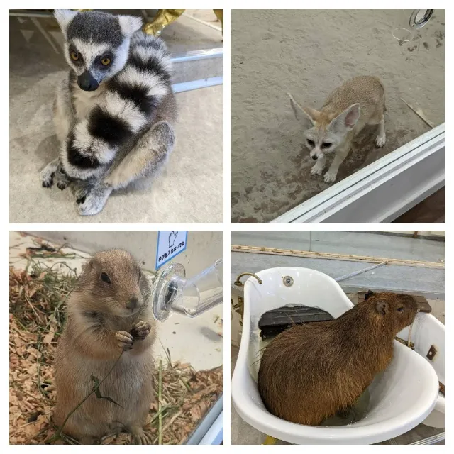 店舗専門不動産クラリコ：横濱動物園ズーラシア２